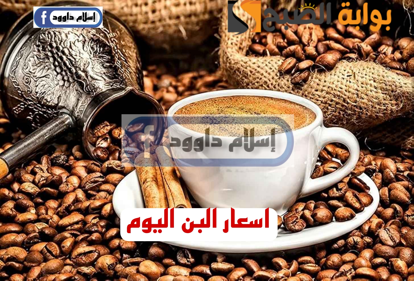 Picsart 24 02 19 16 20 07 371
