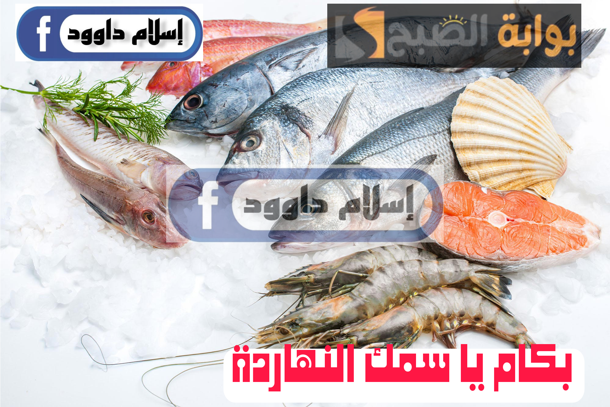 Picsart 24 02 20 12 20 27 901