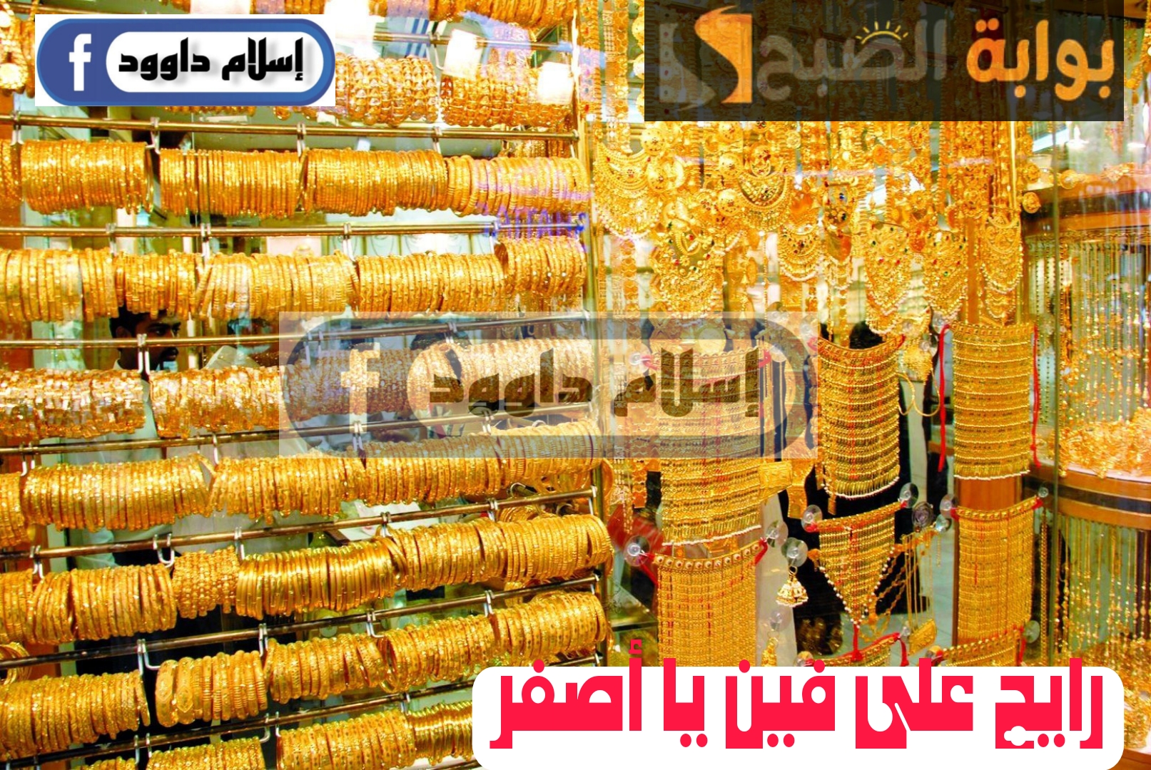 Picsart 24 02 23 11 14 02 003
