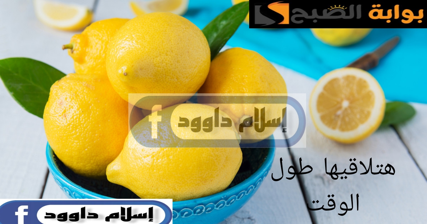Picsart 24 02 23 23 12 41 721