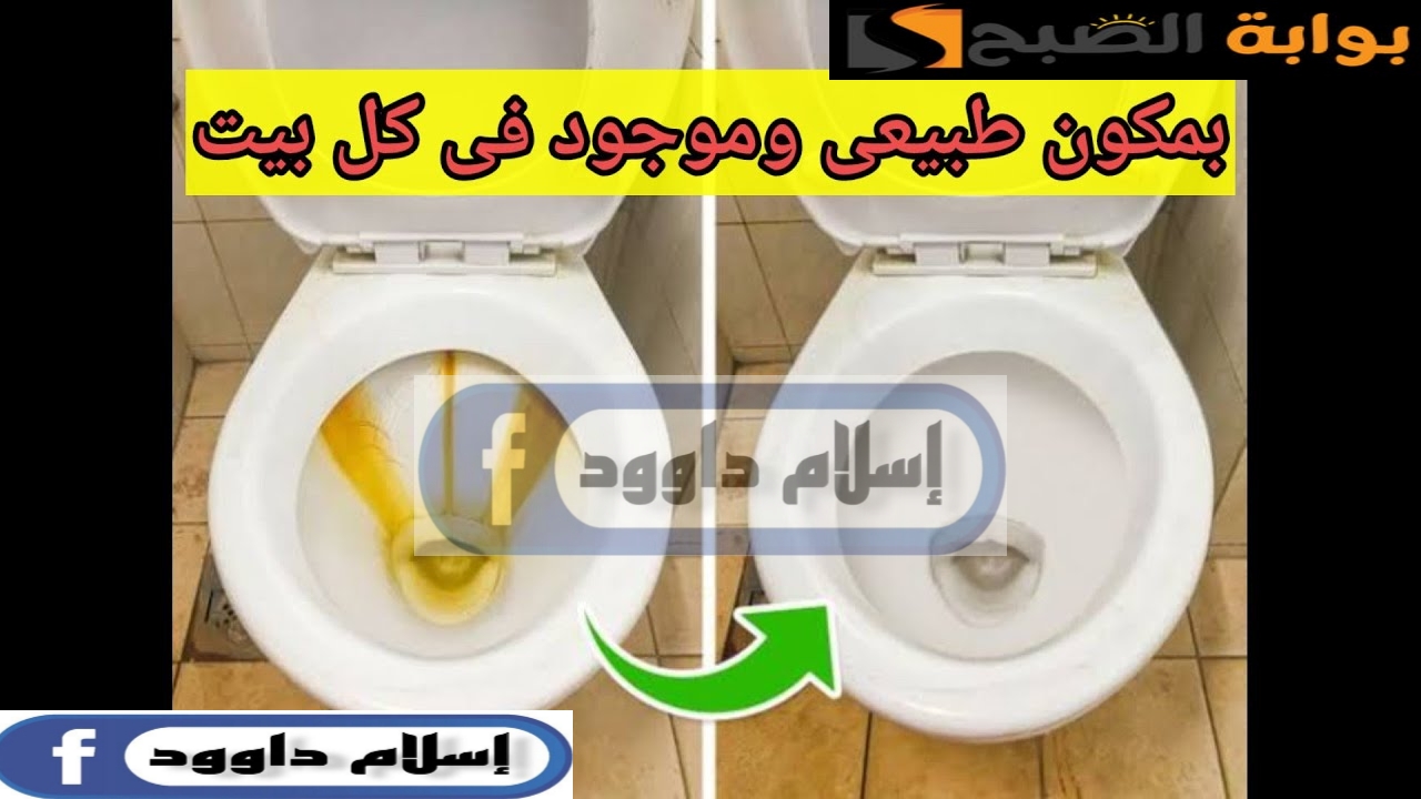 Picsart 24 02 24 00 43 03 906