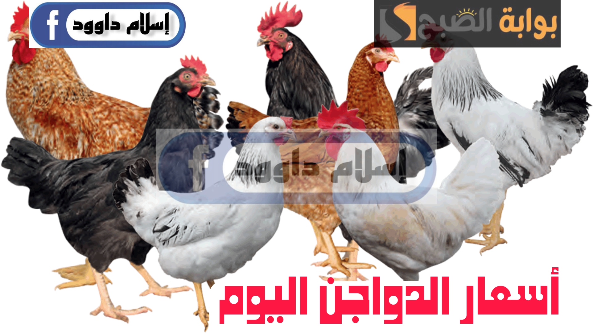 Picsart 24 02 24 09 22 33 706