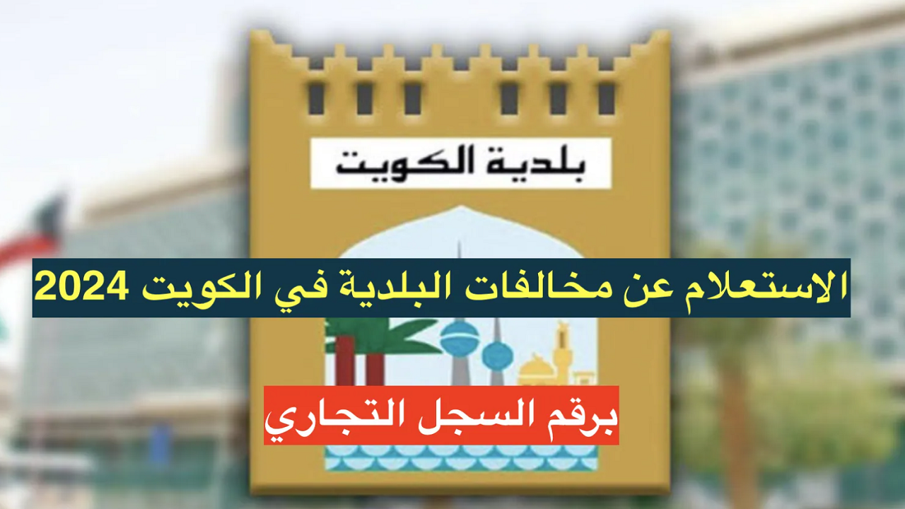مخالفات البلدية برقم السجل