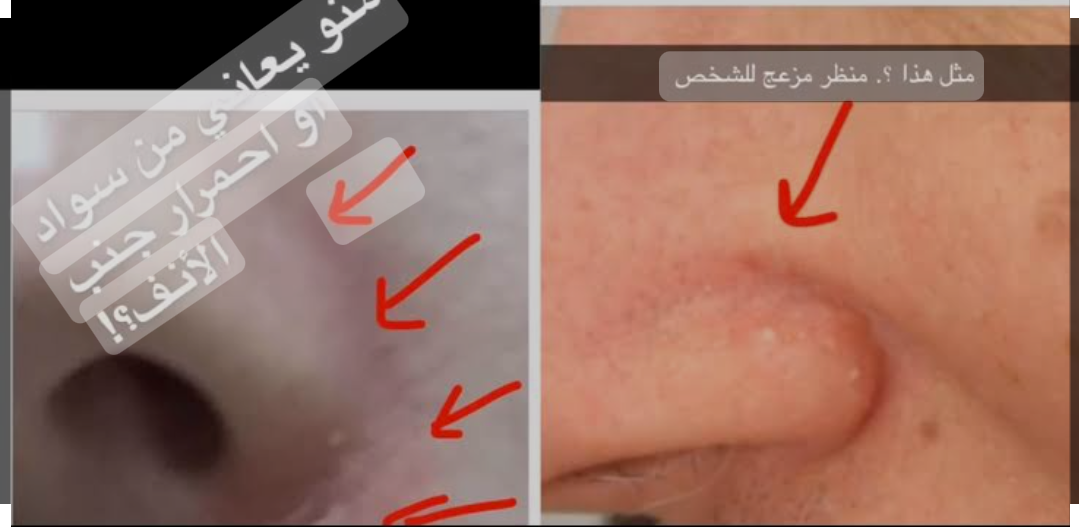 Screenshot 2024 0209 130317