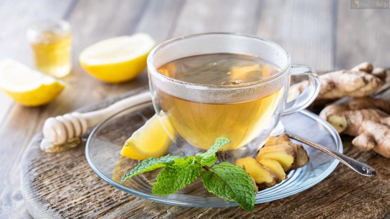 مشروب الزنجبيل والشاي الأخضر للتخسيس