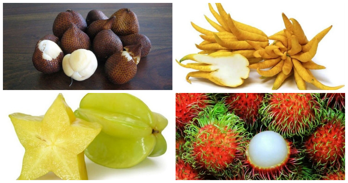 The Strangest types of fruit