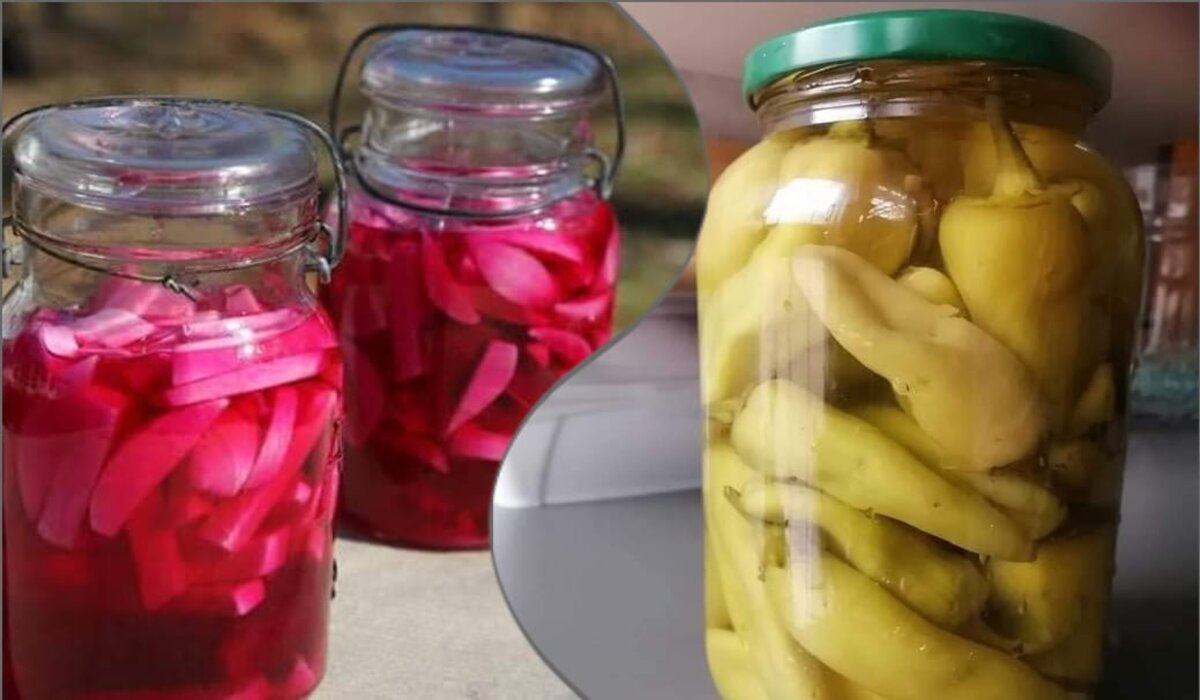 مخلل اللفت والفلفل شهي ويفتح النفس وأساسي على سفرة رمضان حضريه بكل سهولة