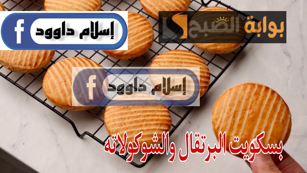 WhatsApp Image 2024 02 24 at 5.58.58 PM