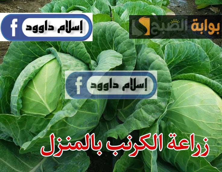 WhatsApp Image 2024 02 24 at 6.20.46 PM