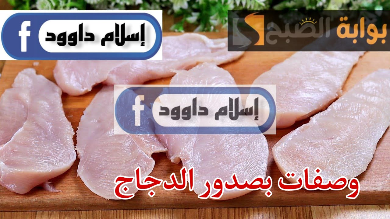 WhatsApp Image 2024 02 24 at 6.51.39 PM