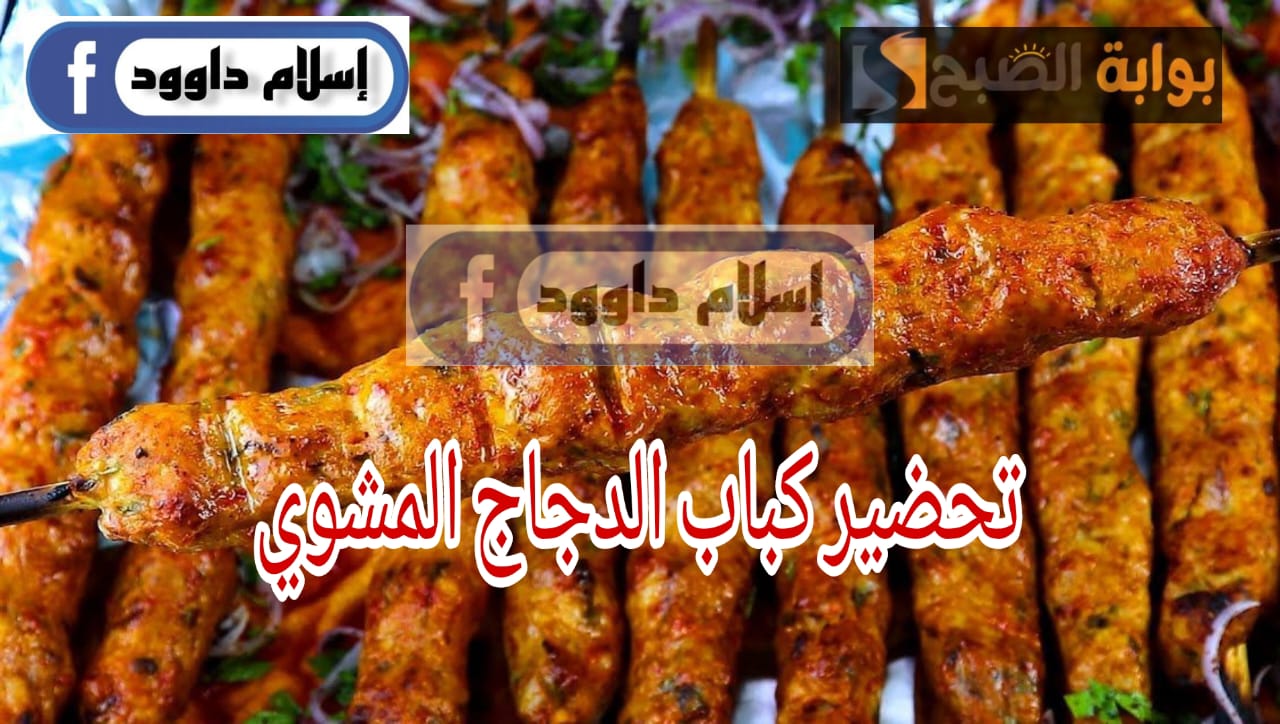 كباب الدجاج المشوي