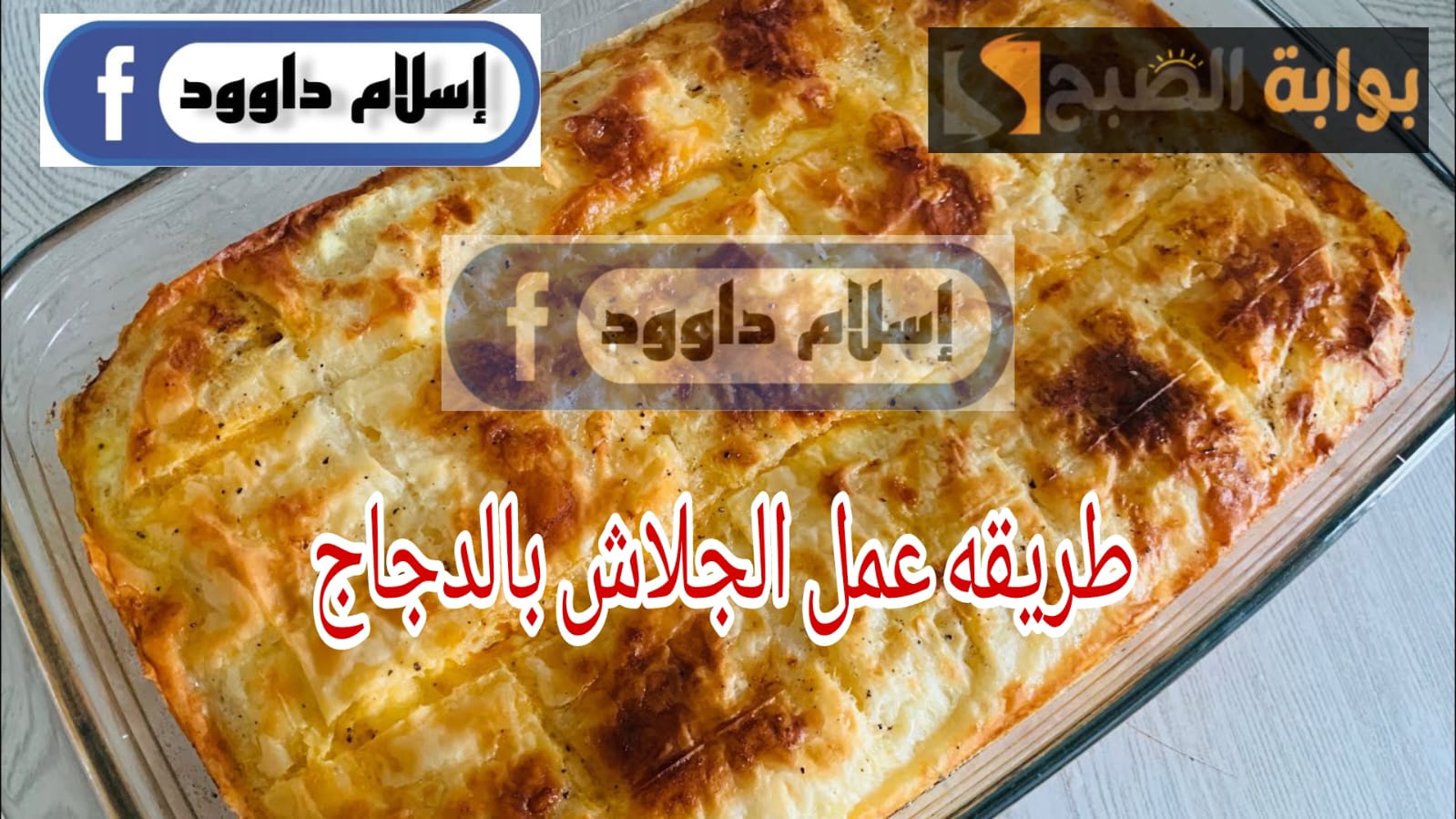 عمل الجلاش بالدجاج