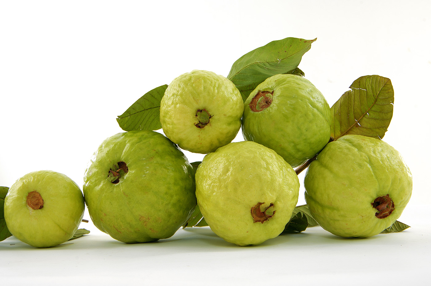 guava fruit wallpaper