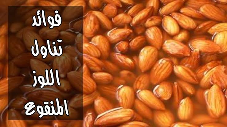 images 17 6