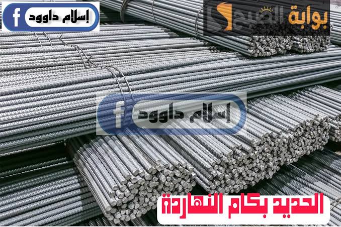 images 2024 02 22T103214.737
