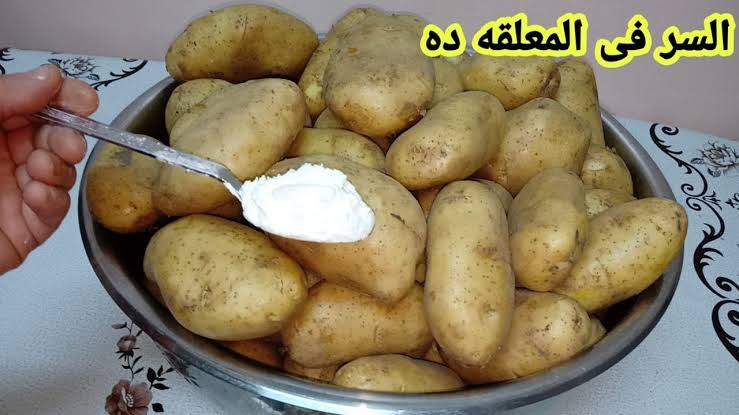images 2024 02 22T175543.078