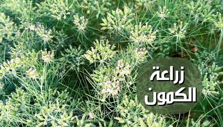 images 22 9