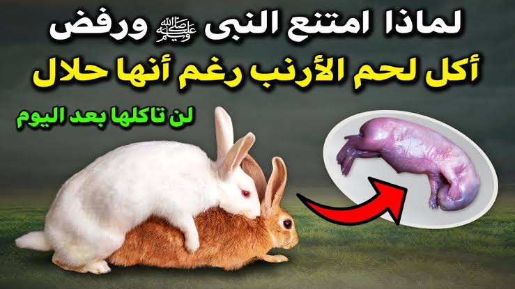 images 25 1707388771014