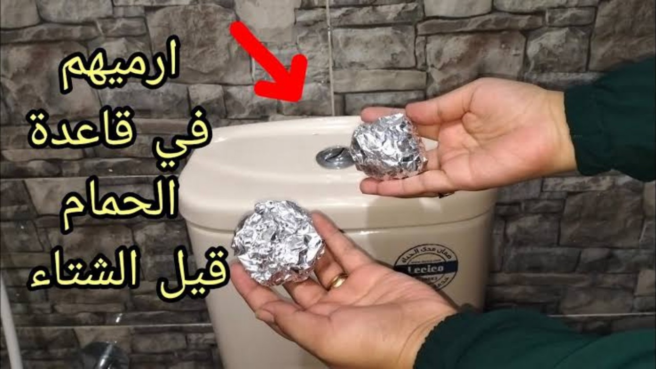 الفويل في قاعدة الحمام