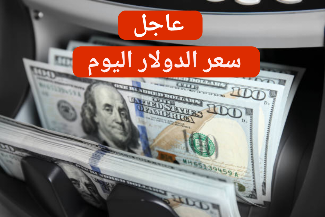 بكام الأخضر في البنكـ.. سعر الدولار مقابل الجنيه المصري اليوم الجمعة 2 فبراير 2024 في البنوك المصرية