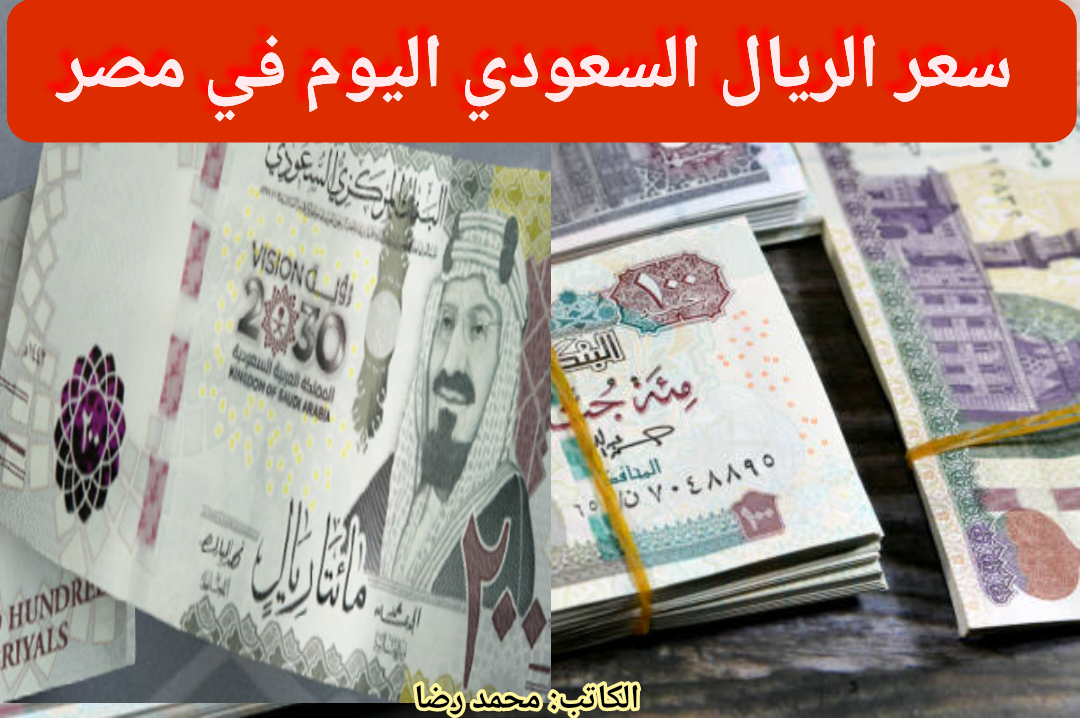 وصل كام السعودي... سعر الريال السعودي مقابل الجنيه المصري اليوم السبت 3 فبراير 2024 في البنك المركزي