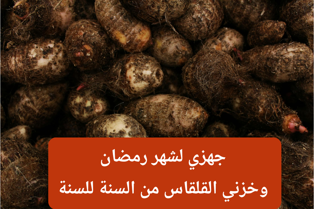 img 1706954712731