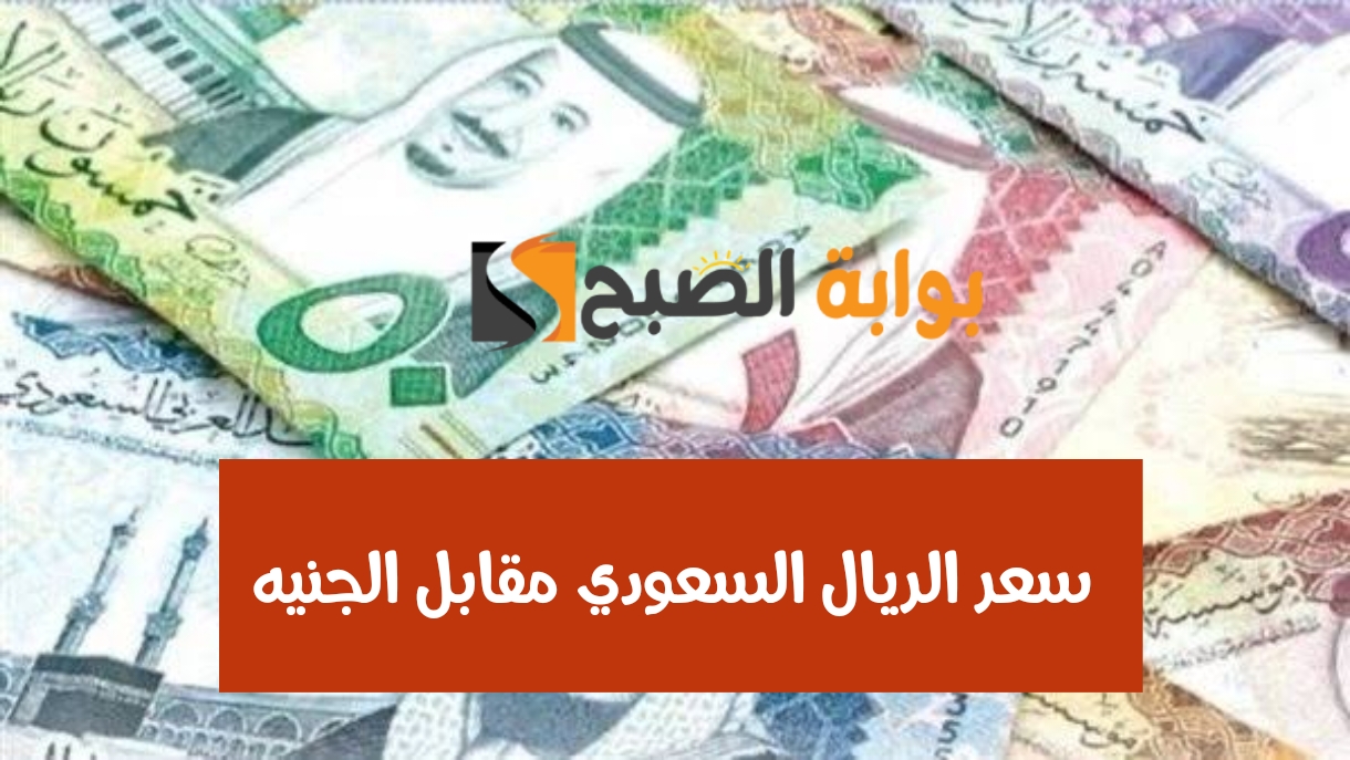 سعر الريال السعودي مقابل الجنيه المصري