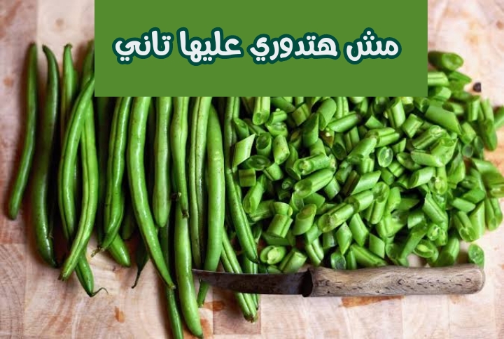 img 1707337731093