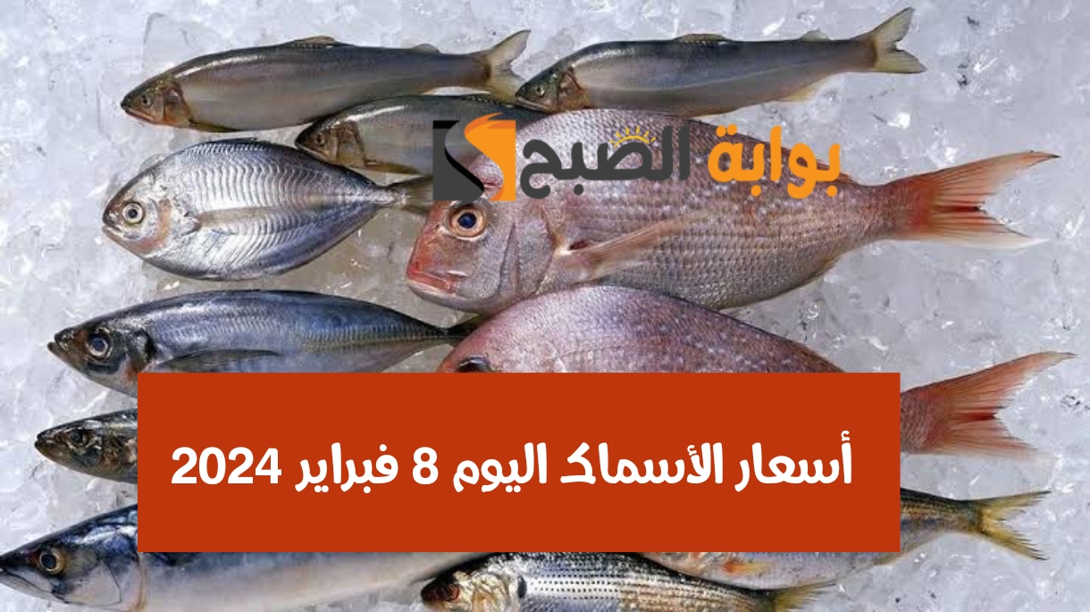 أسعار الأسماك اليوم 8 فبراير 2024
