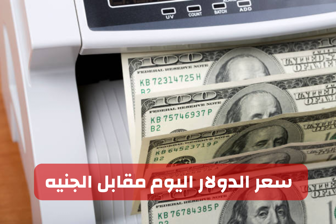 الأخضر بكام النهاردة.. سعر الدولار مقابل الجنيه المصري اليوم السبت 10 فبراير 2024 في البنوك