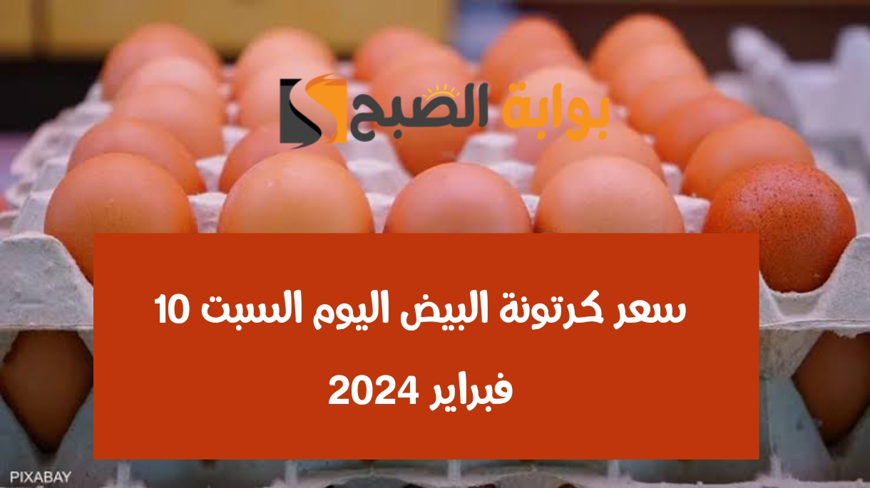 سعر كرتونة البيض السبت 10 فبراير 2024