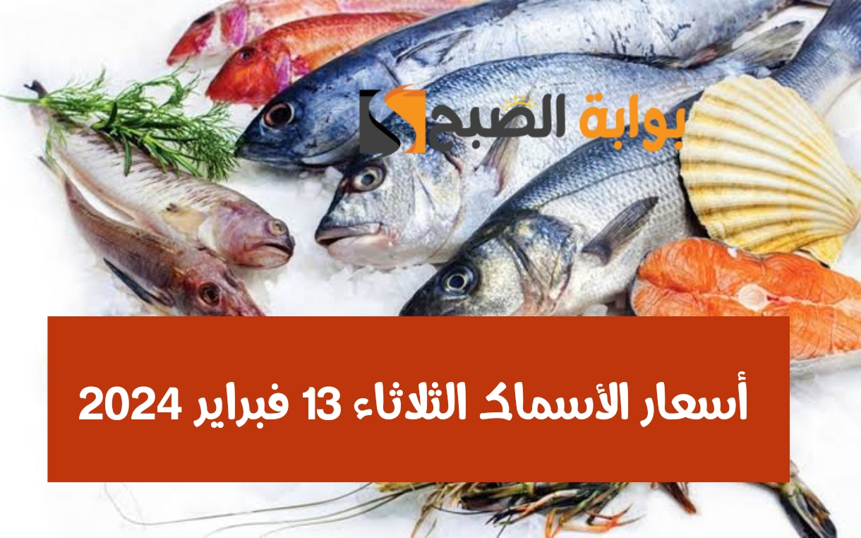 أسعار الأسماك الثلاثاء 13 فبراير 2024