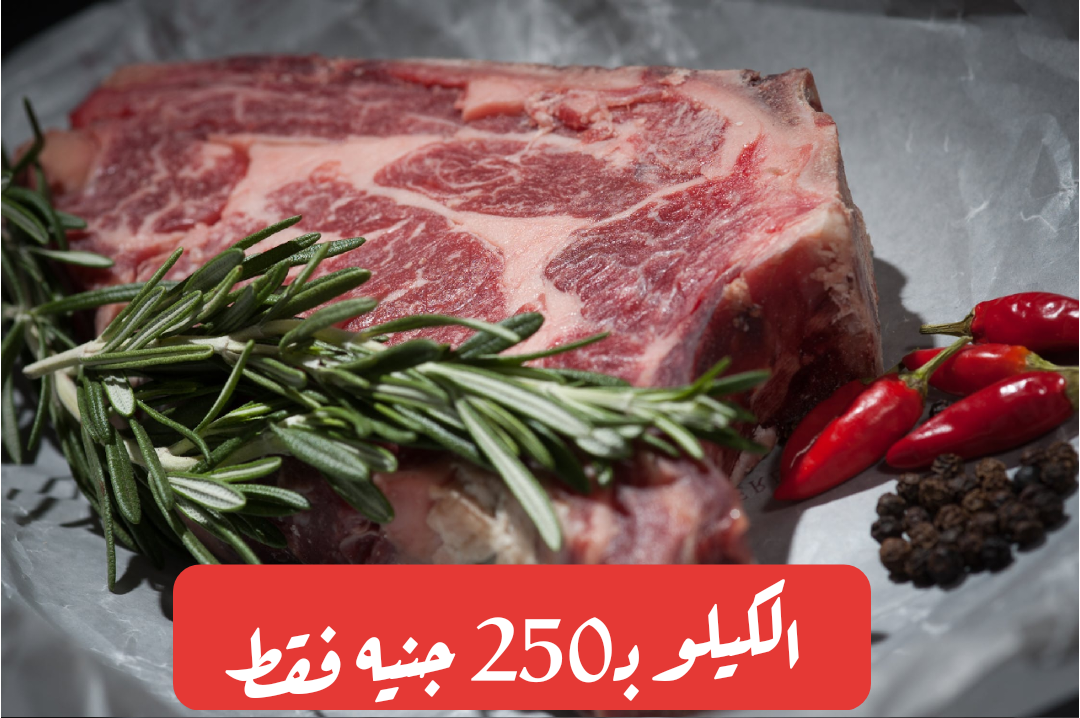 بمناسبة شهر رمضان.. وزارة الزراعة تنشأ منافذ لبيع اللحوم بأسعار مخفضة جداً اليوم الثلاثاء 13 فبراير 2024
