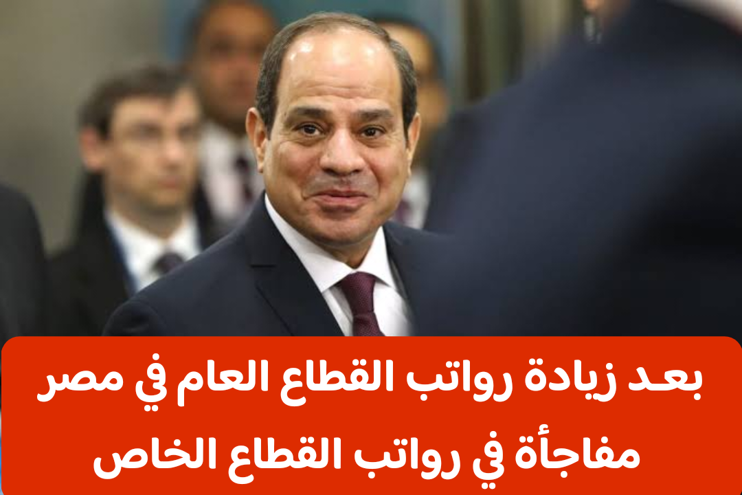 بشري سارة زيادة رواتب موظفي الحكومة 2024: تعرف على تأثيرها المحتمل على القطاع الخاص