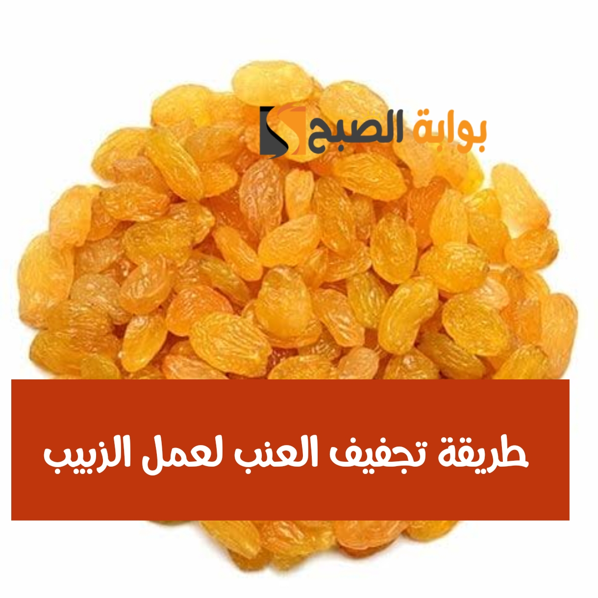 طريقة تجفيف العنب لعمل الزبيب