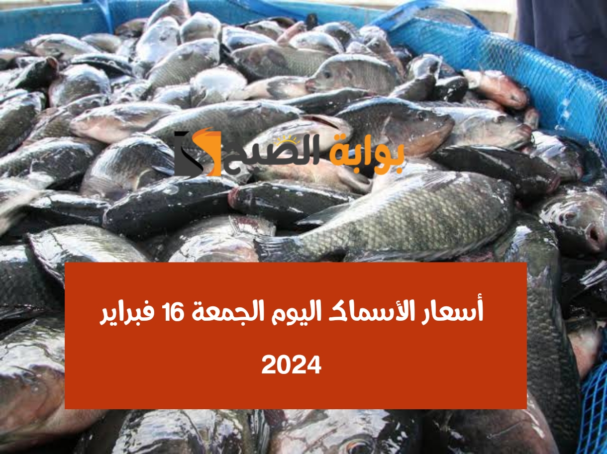 أسعار الأسماك اليوم الجمعة 16 فبراير 2024