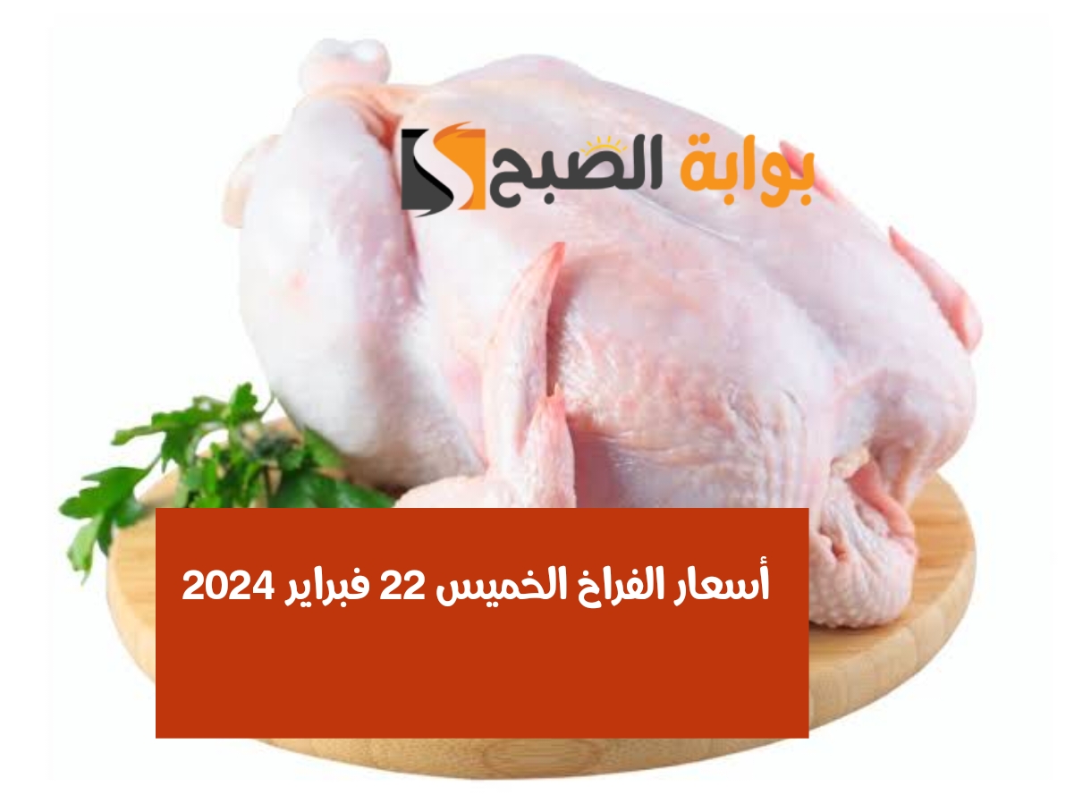 أسعار الفراخ الخميس 22 فبراير 2024
