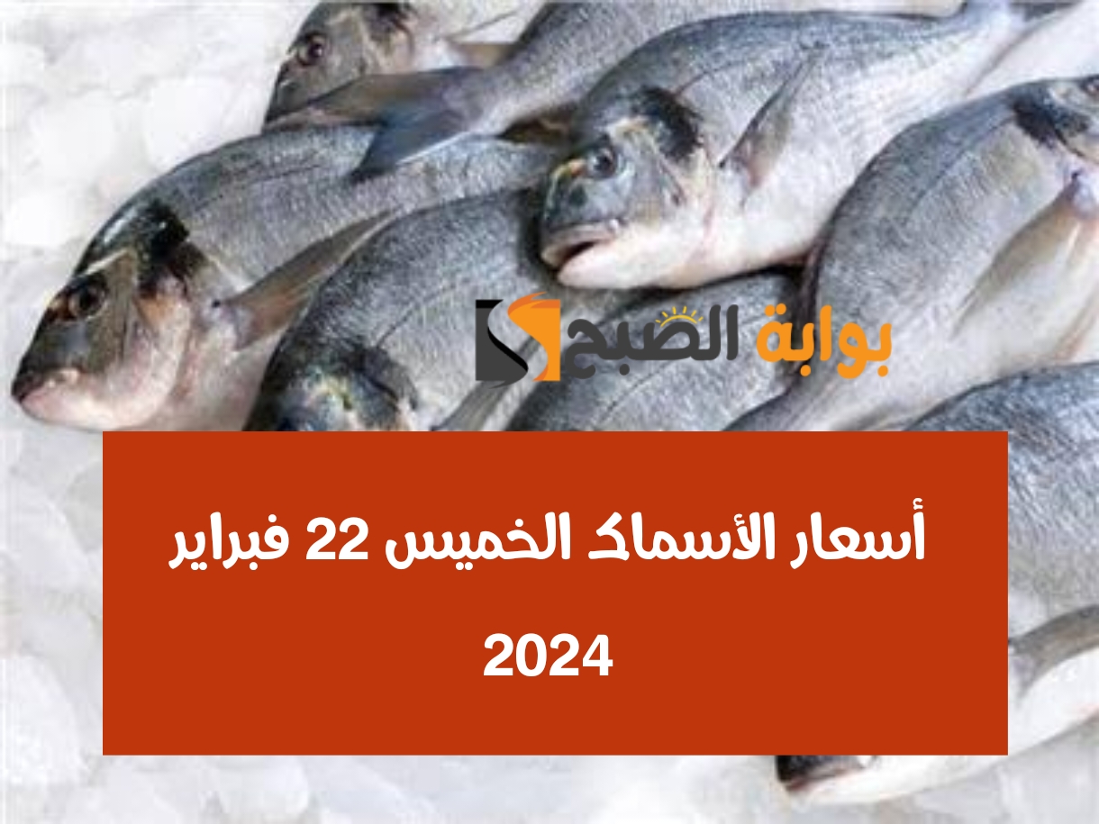 أسعار الأسماك الخميس 22 فبراير 2024