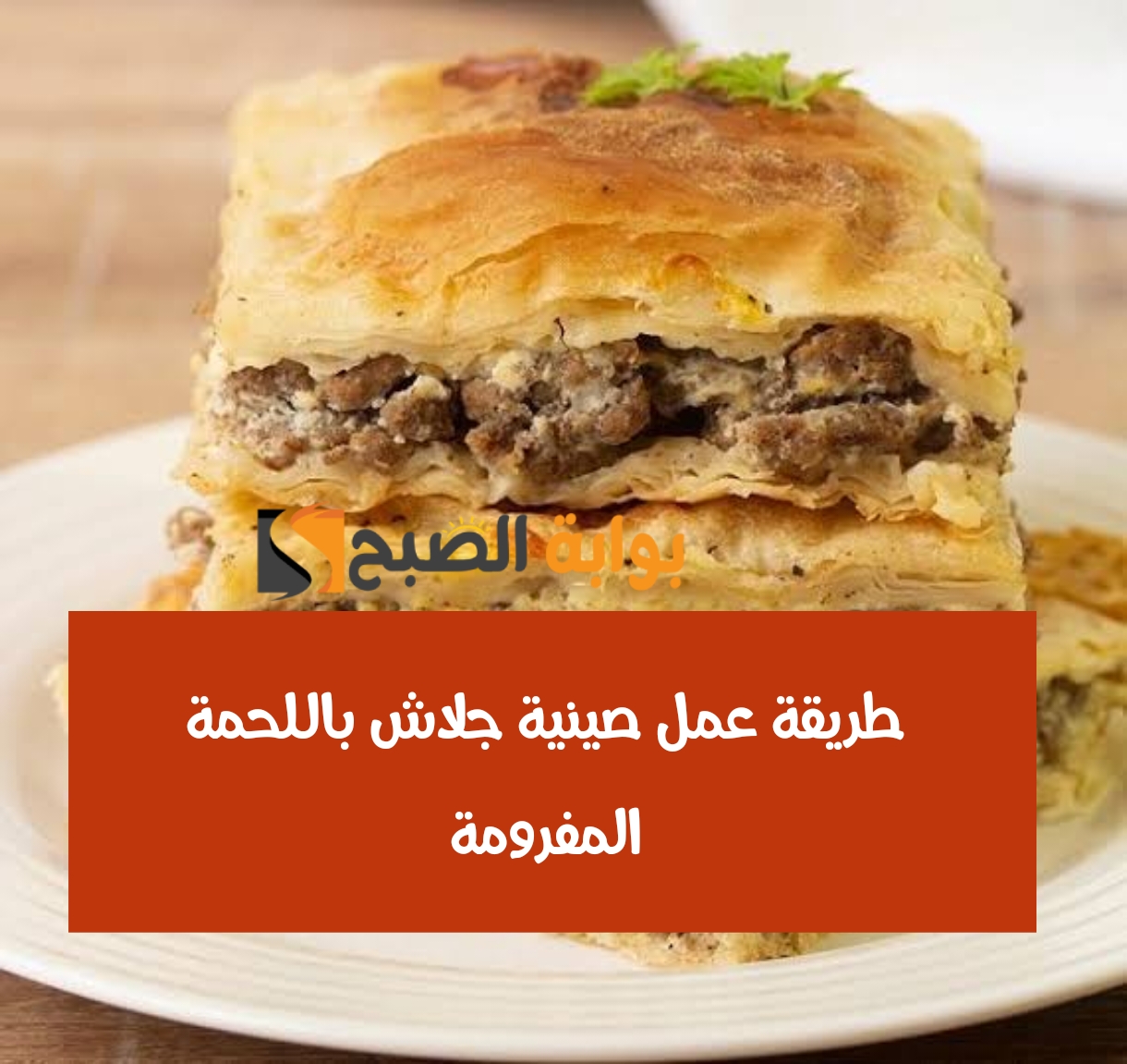 طريقة عمل صينية جلاش باللحمة المفرومة