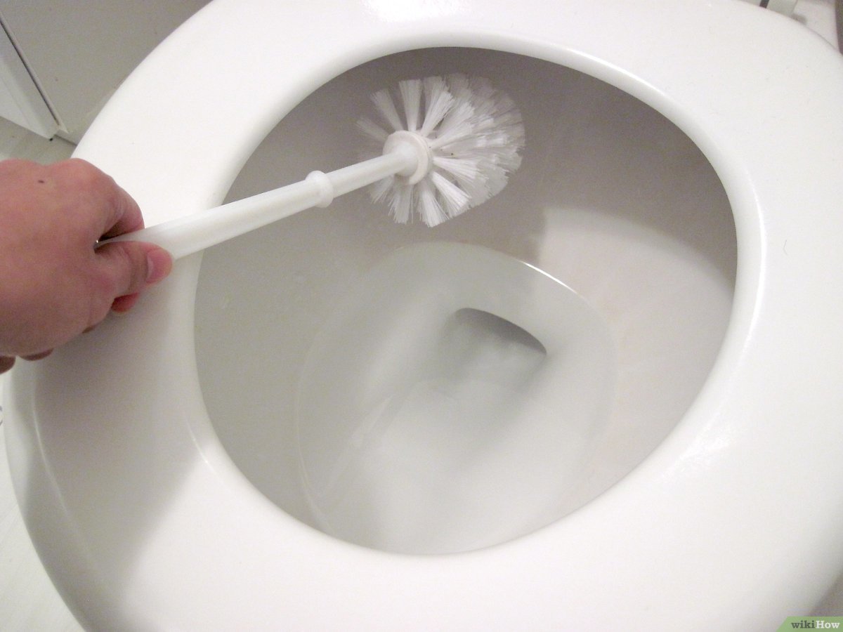 v4 1200px Use A Toilet Brush Step 1