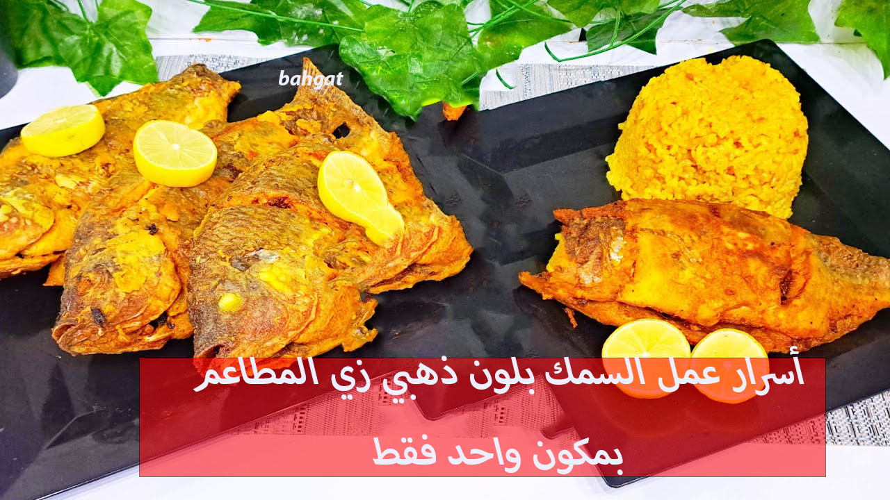 أسرار عمل السمك بلون ذهبي