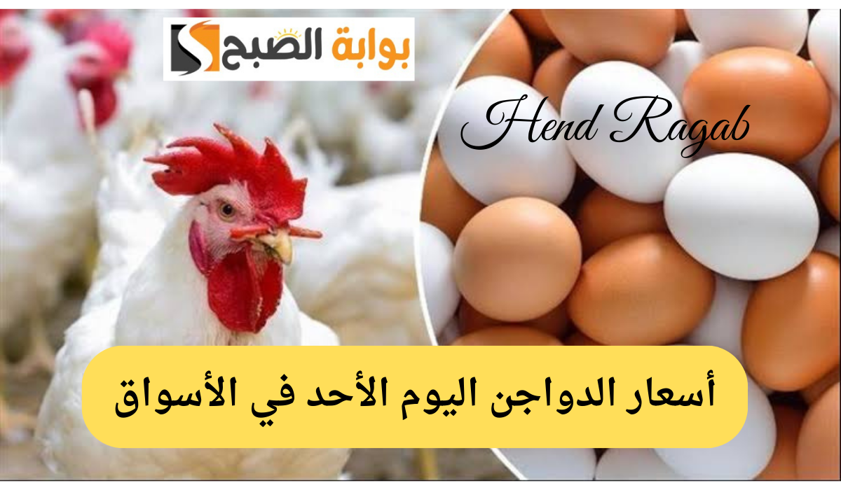 أسعار الدواجن اليوم الأحد في الأسواق