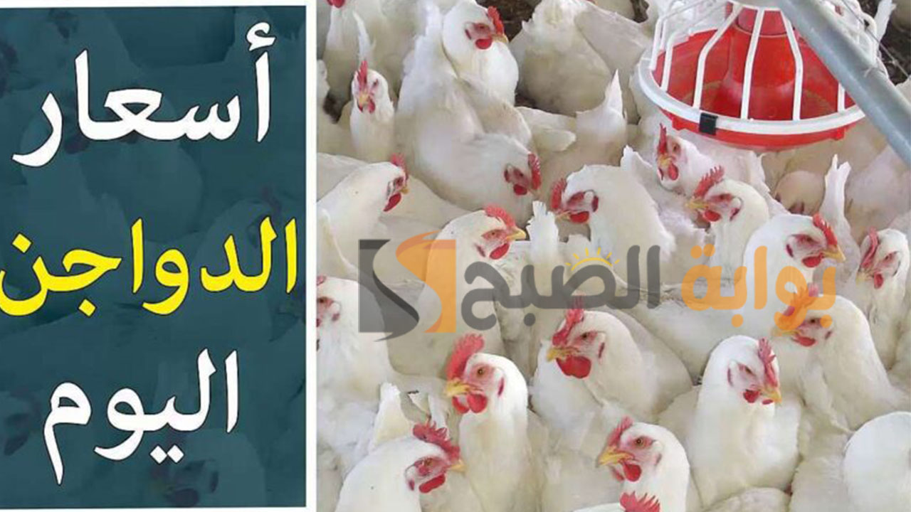 أسعار الدواجن والبيض اليوم الجمعة