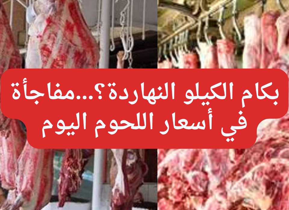 أسعار اللحوم 20240212 151550 0000