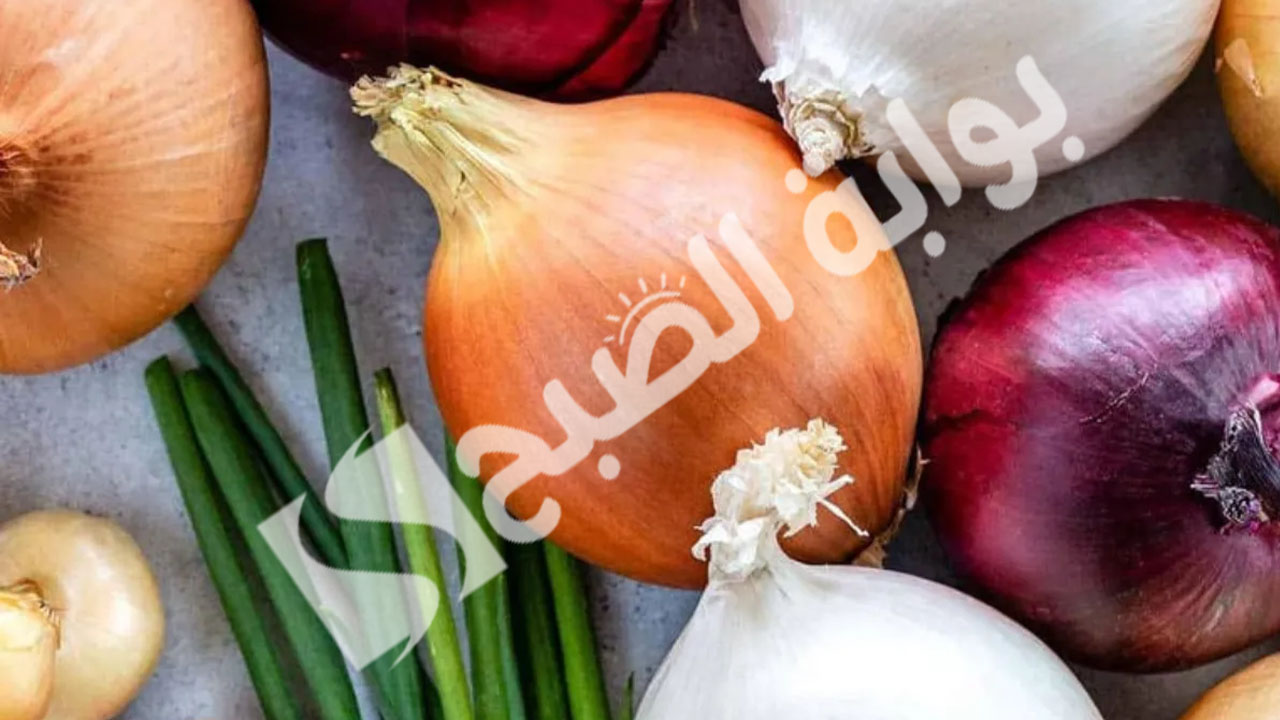 أسباب ارتفاع سعر البصل في السعودية الحقيقية