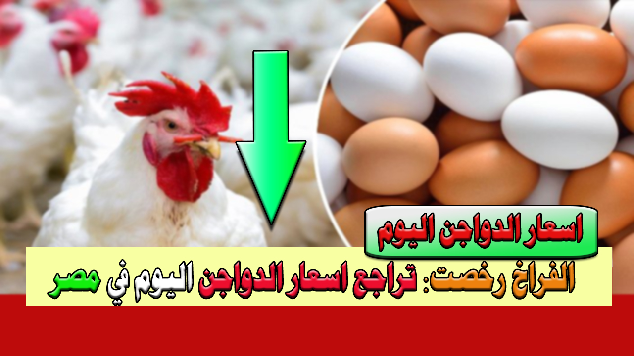 أسعار الدواجن اليوم