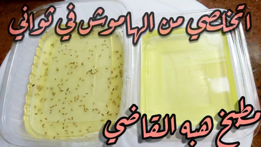 التخلص من الهاموش 1024x576 1