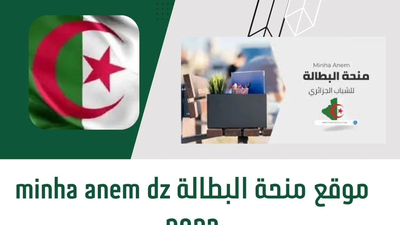 سجل الان .. منحة البطالة 2024 بالجزائر وكيفية الاستعلام وماهي الشروط Agence Nationale De L'emploi