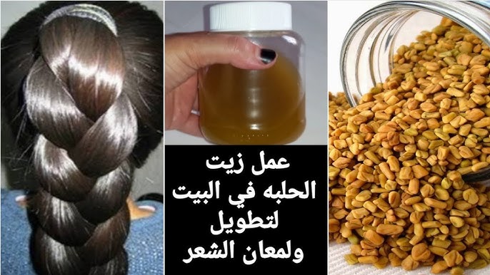 الحلبة علي الزيت