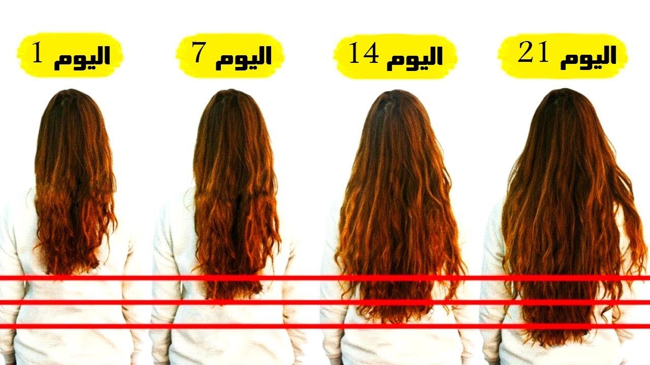الشعر ينمو زى المجنون اسرع خلطة لتطويل الشعر بسرعه صارخيه 1